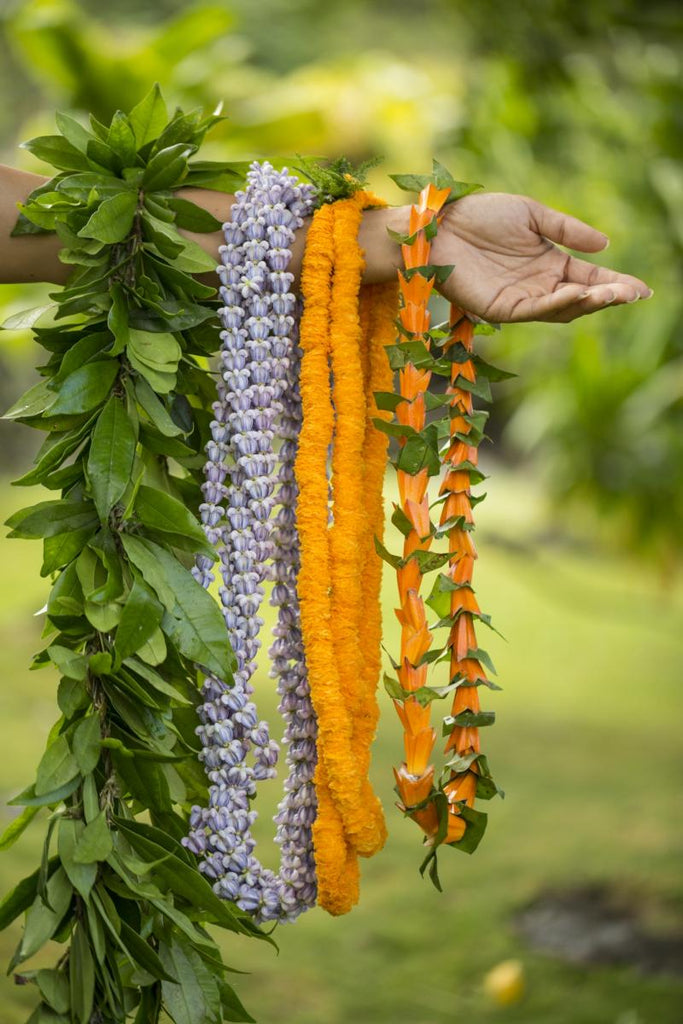 Celebrating Lei Day: A Symbol of Aloha and Unity